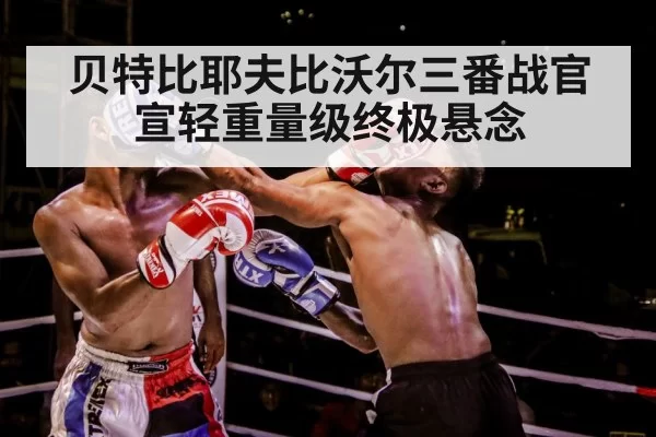 boxer training gloves